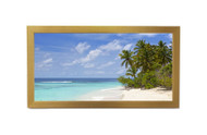10x30 Panoramic Frame - Gold