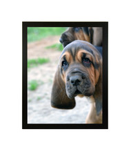 Thin Flat Black Picture Frame - wood - 3/4" wide - 11x14 artist frame - standard picture frame - empty