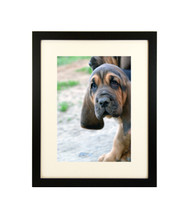 Thin Flat Black Picture Frame - wood - 3/4" wide - 16x20 artist frame - standard picture frame - with matting