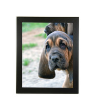 Medium Flat Black Picture Frame - wood - 1 1/4" wide - 16x20 artist frame - standard picture frame - empty