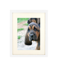 Thin Flat White Picture Frame - wood - 3/4" wide - 12x16 artist frame - standard picture frame - with matting