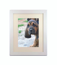 Medium Flat White Picture Frame - wood 1  1/4" wide - 12x16 artist frame - standard picture frame - with matting