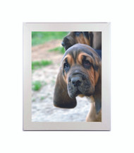 Medium Flat White Picture Frame - wood -1 1/4" wide - 8 1/2x11 artist frame - standard picture frame - empty