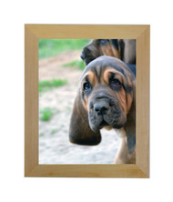 Natural Picture Frame - raw unfinished wood - 1.5" wide - 8 1/2x11 artist frame - Empty