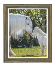 Framed Equine Print "Quiet Moment"