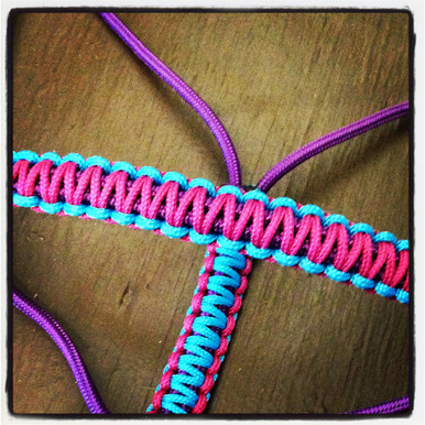 Download Halter with Braided Noseband and Gullet