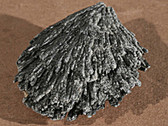 Black Kyanite Mineral Specimen
