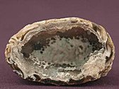 Tan Brown Agate Quartz Geode