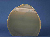 Polished Tan Gray Agate Geode