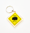 Diamond  Acrylic Keychain, with Key Ring