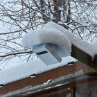 People Counting Systems - Outdoor People Traffic