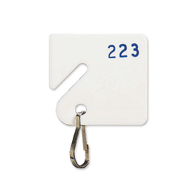 Numbered White Slotted Rack Key Tags