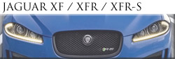 xf-xfr-xfr-scat-side-1.jpg