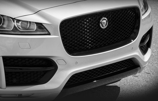 Jaguar F-Pace All Black Main Grille Replacement - Mina Gallery Inc