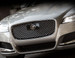 Jaguar XF 2016-2018 Black Pak Main Grille Replacement w radar option