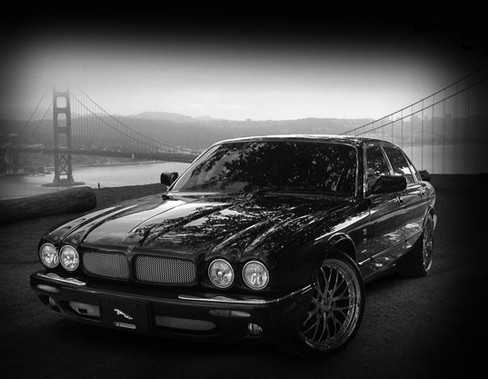Jaguar XJ8 & XJR Lower Bumper Mesh Grille Kit - Mina Gallery Inc