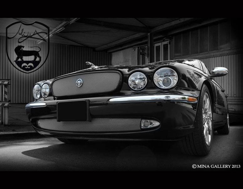 Jaguar XJ8 & XJR Lower Mesh Grille Kit - Mina Gallery Inc