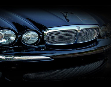 Jaguar X-Type Mesh Grille Insert (Bright stainless or Black) - Mina Gallery  Inc