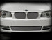 BMW 128 Lower Mesh Grille Black or Bright Stainless 09-2011