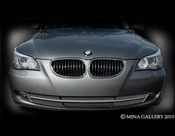 BMW 5 Series 3pcs Lower Mesh Grille 2008-2009