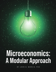 Class Outline for Microeconomics: A Modular Approach (Marcis)- Paperback