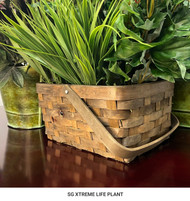 Included  A1029 5V 2A 10,000mAh Battery USB-C Charging Cable 32GB Memory Card IR Remote RCA Video Cable Quick Start Guide