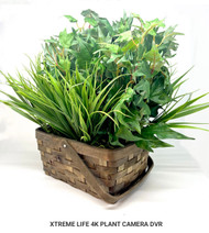 Xtreme Life 4K Plant Camera DVR