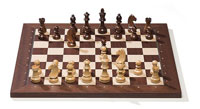 Electronic Chess Sets
