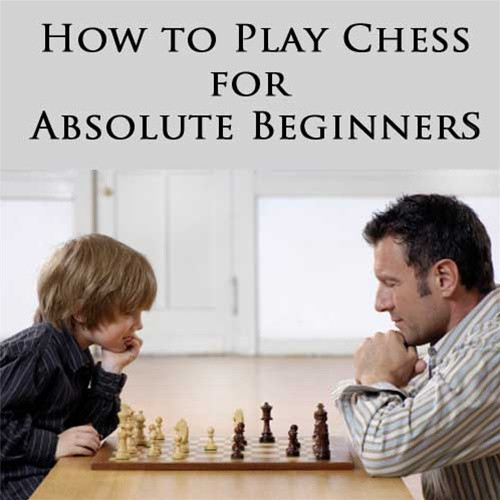 het ergste koud Inwoner How to Play Chess for Absolute Beginners - Chess Training Video DVD