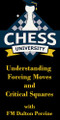 Understanding Forcing Moves and Critical Squares Video Chess Course Download 