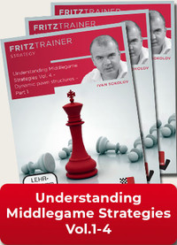 Understanding Middlegame Strategies Vol. 1-4 - Chess Software Training Download 