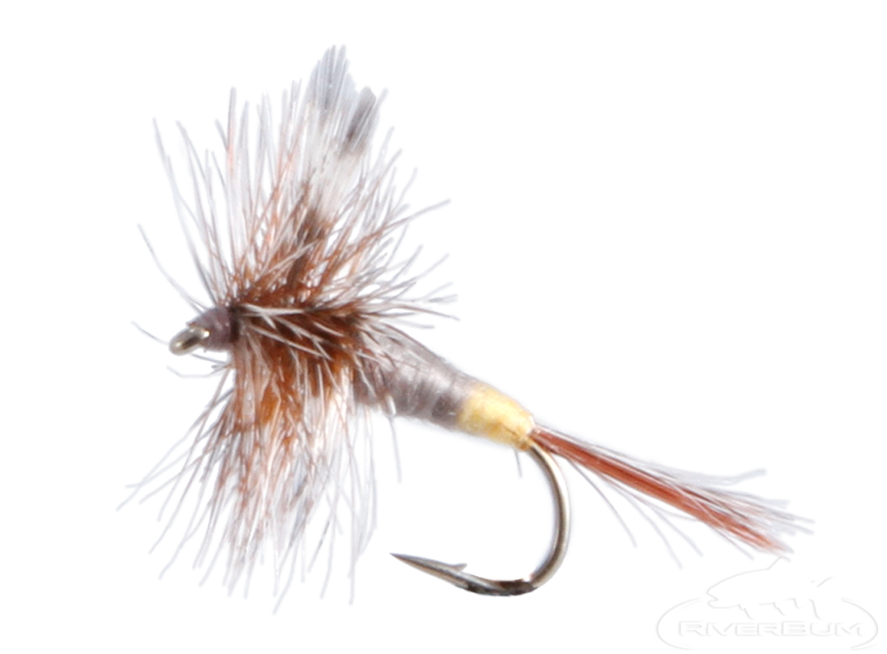 Dry Flies for the Non Hatch