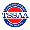 TSSAA Tennessee State Cheer and Dance 2017 - 11/11/2017