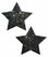 PASTEASE ROCKSTAR BLACK GLITTER | PASSTRGLTBK5 | [category_name]