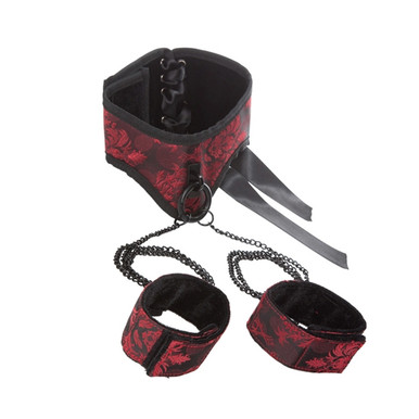 SCANDAL POSTURE COLLAR W/CUFFS | SE271213 | [category_name]