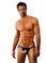 SPORTSHEETS EVERLASTER HARNESS | SS69751 | [category_name]