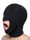 MASTER SERIES BLOW HOLE OPEN MOUTH HOOD | XRAD690 | [category_name]