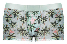 SHEER PRINTS SHORT FLAMINGO SMALL 