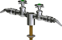 Chicago Faucets (LWV1-C51-25) Deck-mounted laboratory turret with water valve