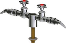 Chicago Faucets (LWV1-C52-25) Deck-mounted laboratory turret with water valve