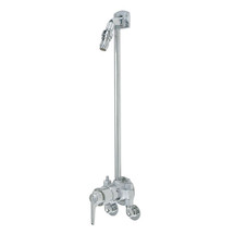 Symmons (1-410) Safetymix Exposed Shower System