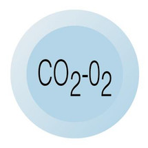 Chicago Faucets (216-678CO2-O2JKNF) Laboratory index button, light blue with black letters, CO2-O2