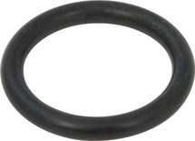 Chicago Faucets (710-009JKNF)  Ring