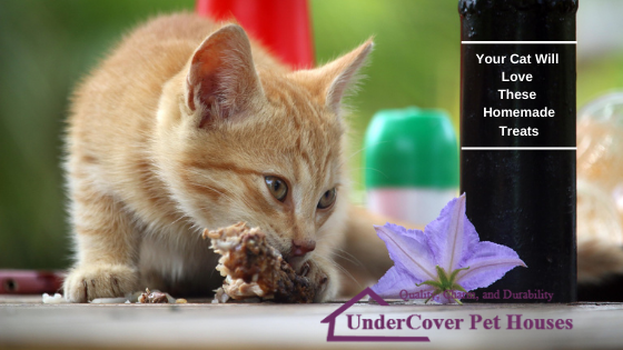5 Easy Homemade Treats Your Cat Will Absolutely Love - UnderCover Pet