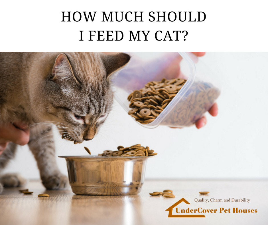How Much Should I Feed My Cat? UnderCover Pet Houses