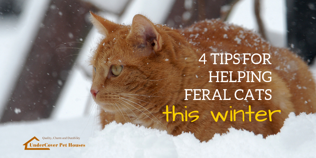 https://cdn10.bigcommerce.com/s-57fs4oxar7/product_images/uploaded_images/feral-winter-tips-2018-twitter.png?t=1543445797