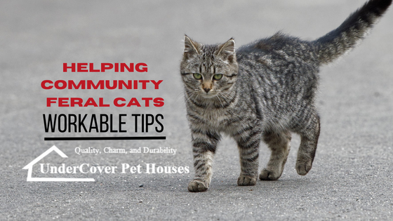 https://cdn10.bigcommerce.com/s-57fs4oxar7/product_images/uploaded_images/helping-feral-cats-in-the-community.png?t=1678904675