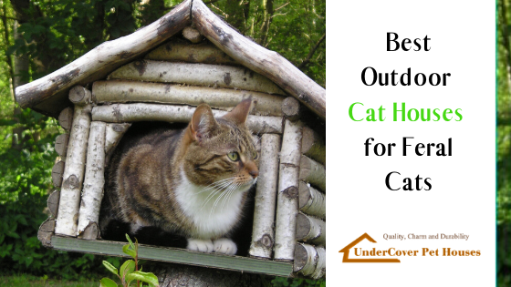 best feral cat house