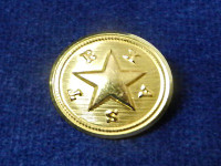 Texas Star Button