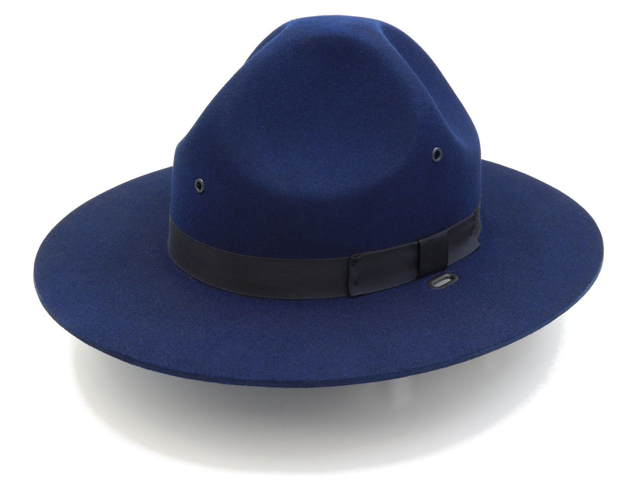 blue campaign hat